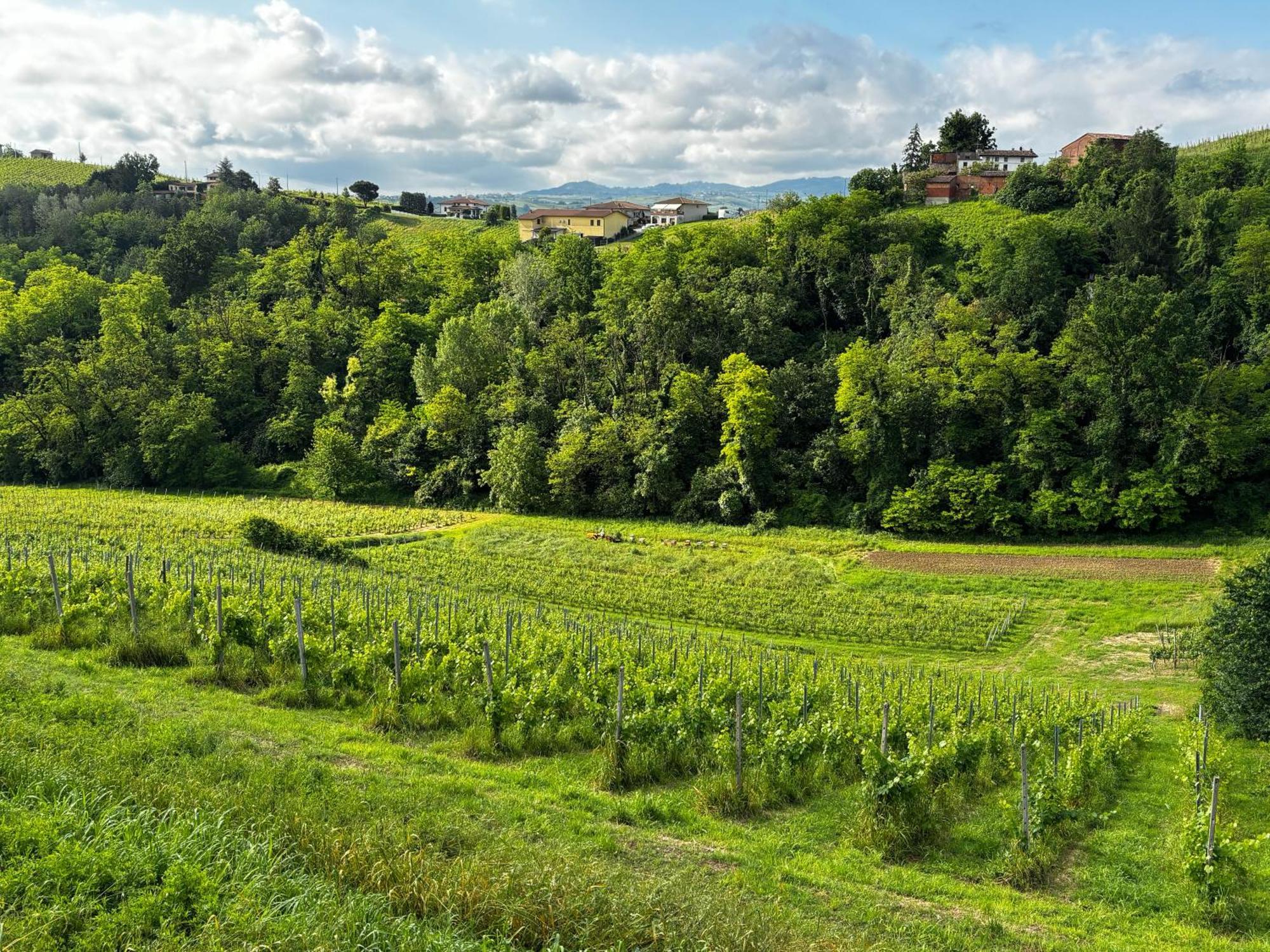 Agriturismo Casa Casoni Canneto Pavese